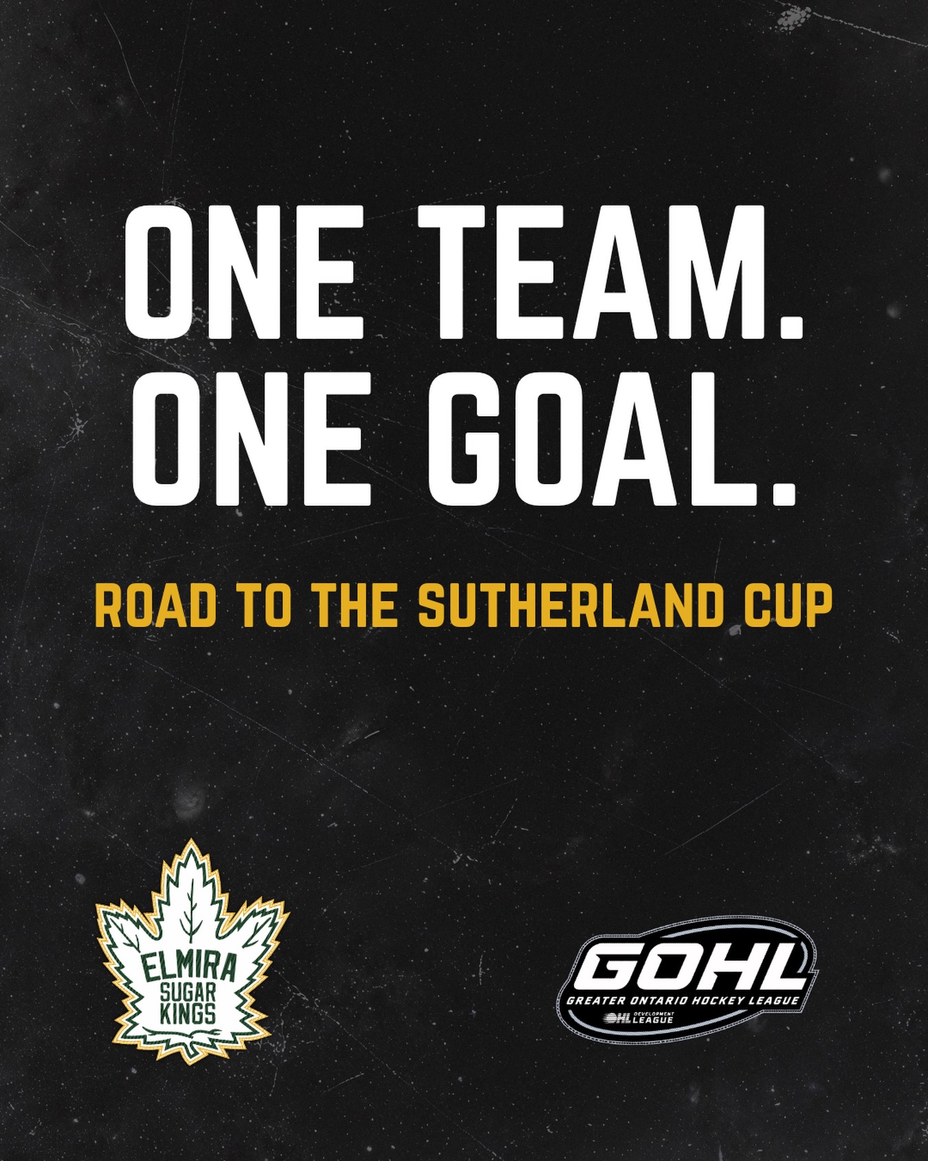 One Team. One Goal.

#sutherlandcup #elmirasugarkings #gohl #proudtobeaking #playoffhockey