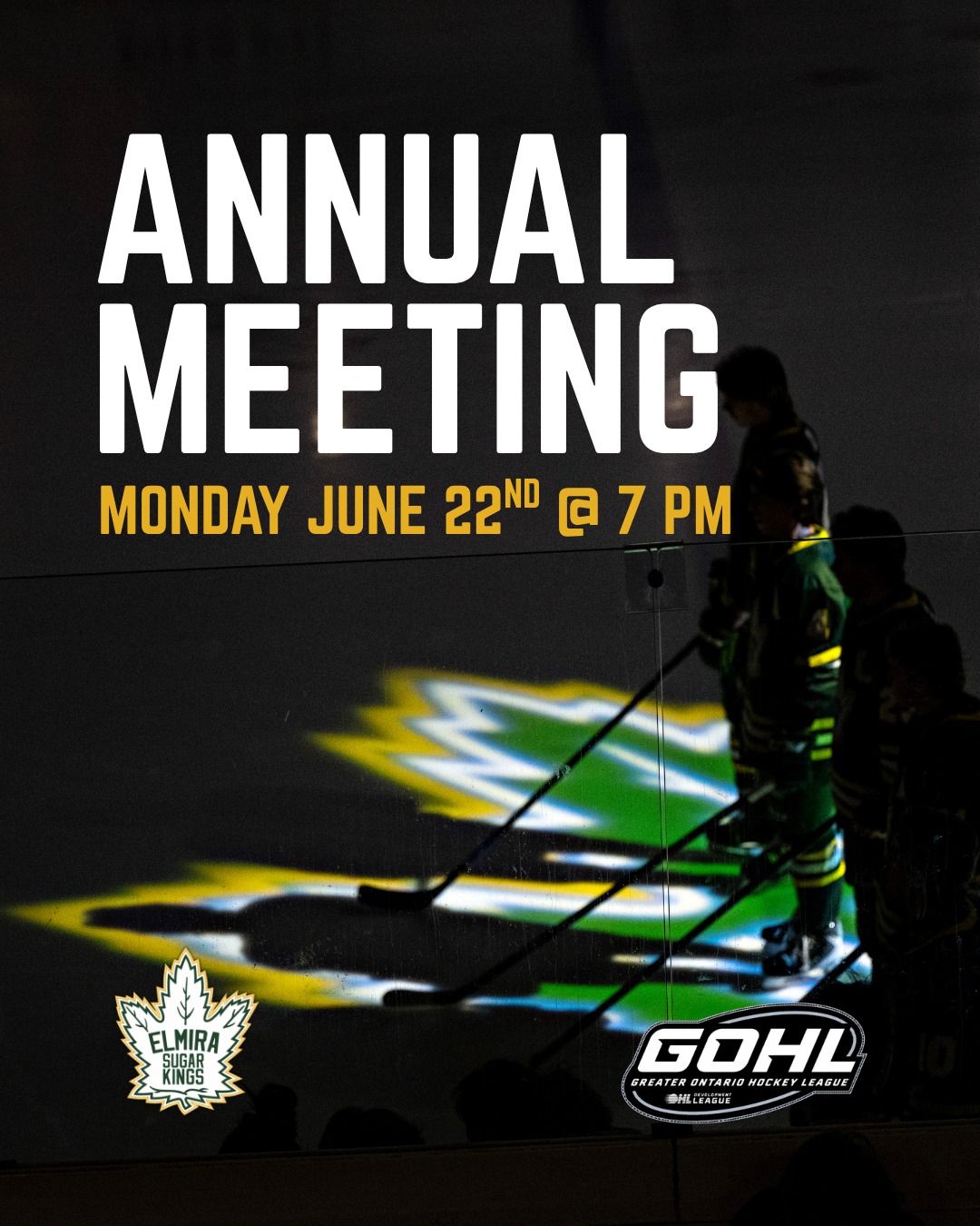 The Elmira Sugar Kings will hold their annual meeting at the Woolwich Memorial Centre in the Concourse Room on June 22nd at 7 PM. If you are not a member and would like to attend, preregistration is required by email to elmirasugarkings50@gmail.com
